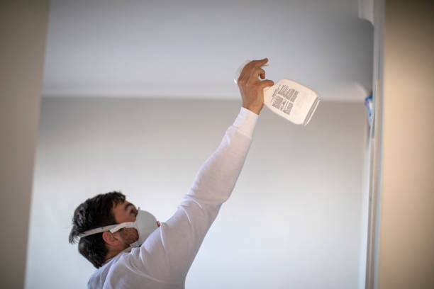 Home Mold Removal in Kittanning, PA
