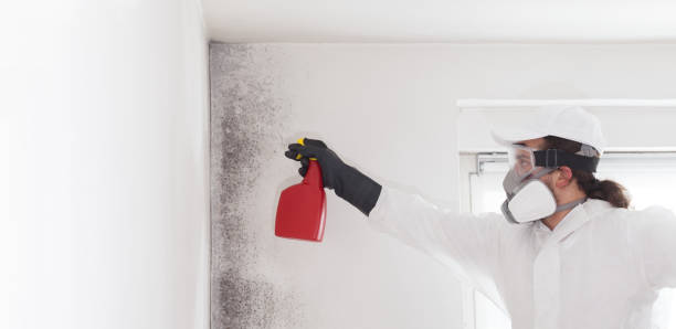 Best Crawl Space Mold Removal  in Kittanning, PA
